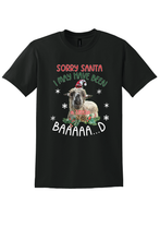 Load image into Gallery viewer, Sorry Santa t-shirt