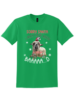 Load image into Gallery viewer, Sorry Santa t-shirt