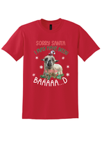 Load image into Gallery viewer, Sorry Santa t-shirt