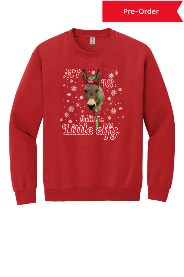 Feelin' Elfy Long sleeve t-shirt