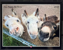 Load image into Gallery viewer, One Happy Ass Farm 2025 calendar Free shipping to the domestic US
