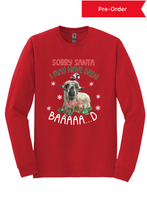 Load image into Gallery viewer, Sorry Santa long sleeve t-shirt
