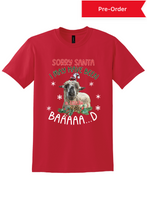 Load image into Gallery viewer, Sorry Santa t-shirt
