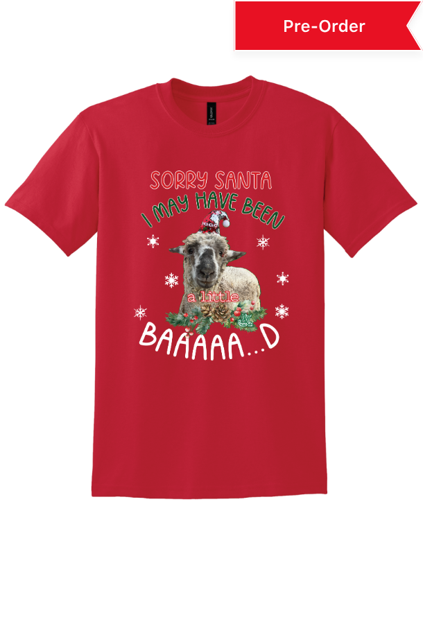 Sorry Santa t-shirt